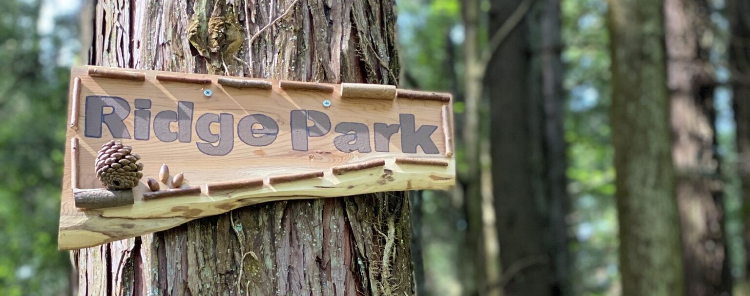 �ڥ���󥻥��Ԥ����ա�2026ǯ4��19��������TOS2026_Round3_��­��